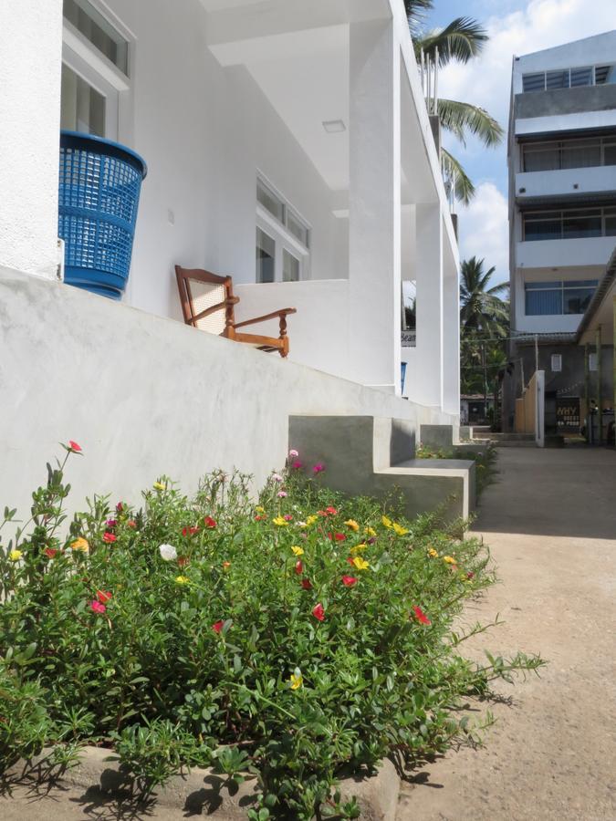 Mountain Wave Hotel And Surfshop ヒッカドゥワ エクステリア 写真